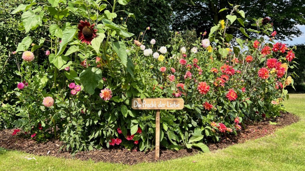 Blumenbeet mit bunten Dahlien und dem Schild „Pracht der Liebe“ bei einer Hochzeit