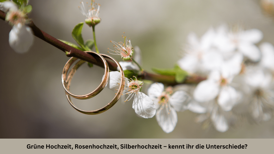 Eheringe an einem blühenden Zweig als Symbol für Hochzeitstage von der Grünen bis zur Silberhochzeit